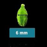 Cardamom 6 mm